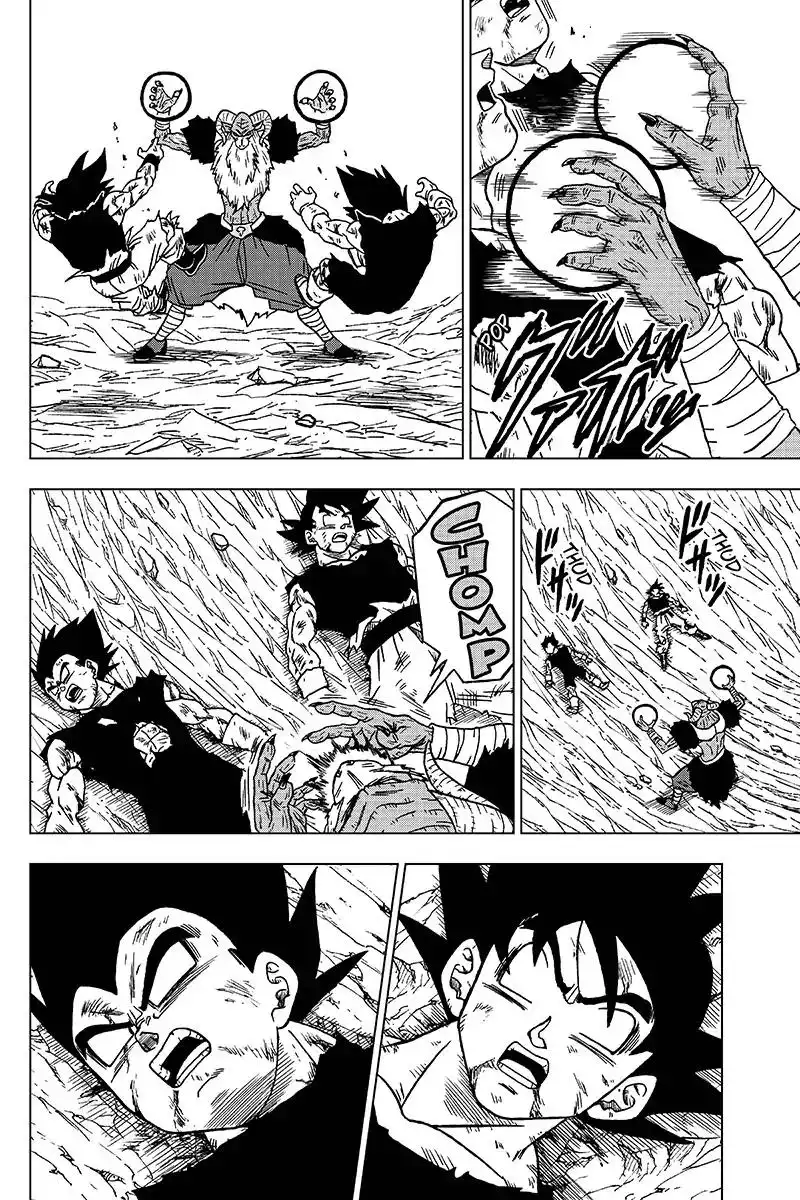 Dragon Ball Super Chapter 46 14